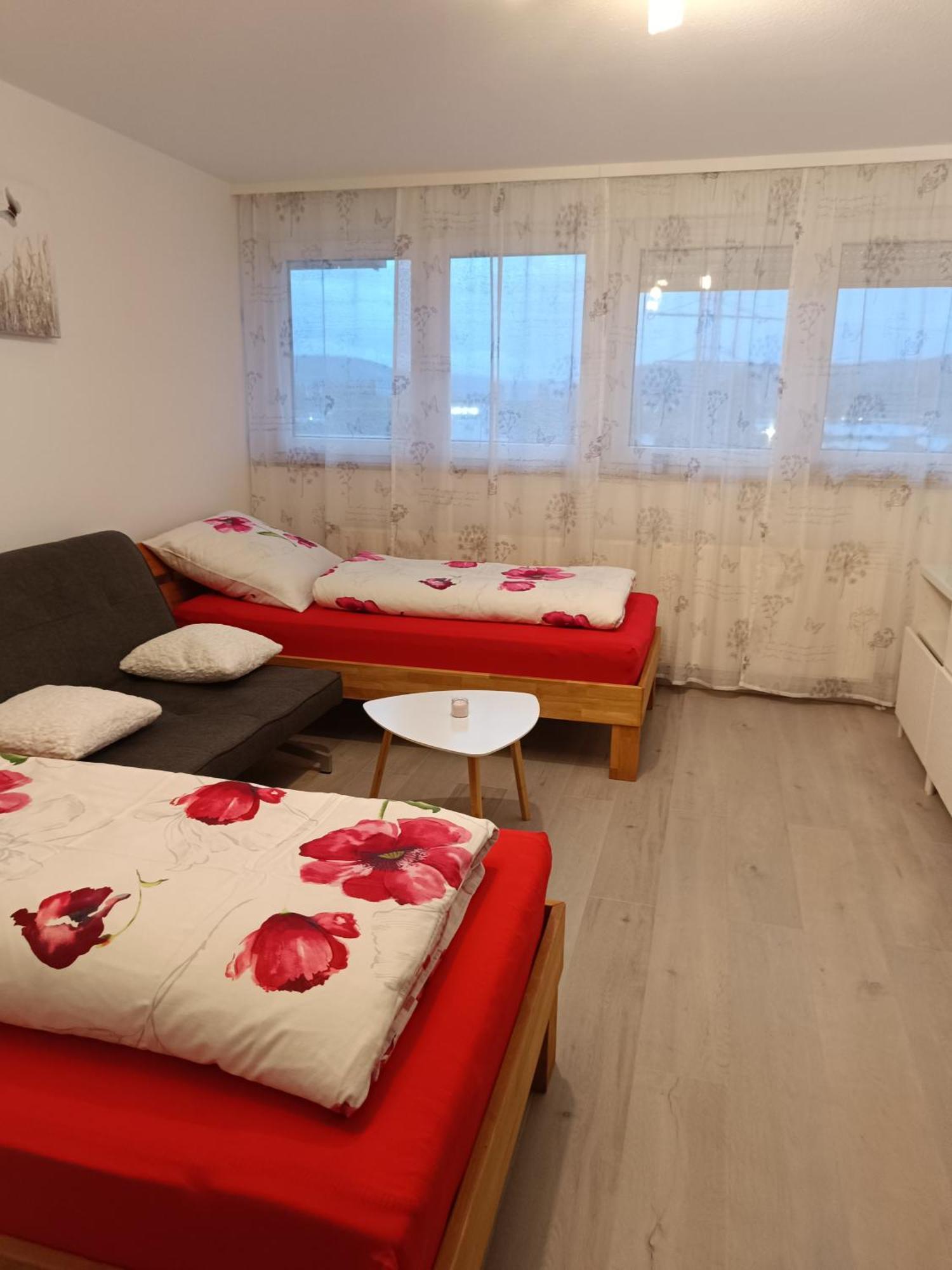 Apartment Lahr 50 外观 照片