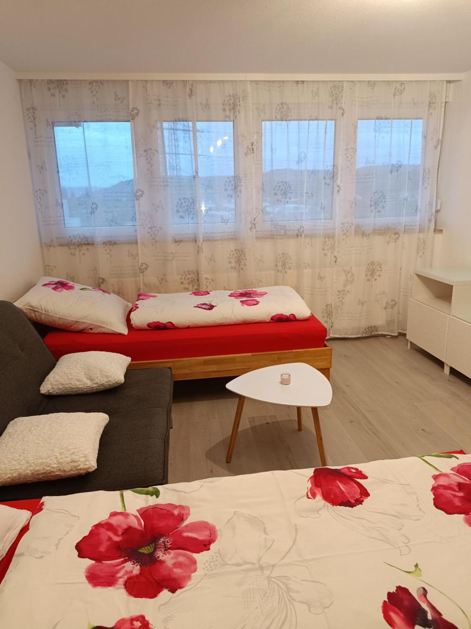 Apartment Lahr 50 外观 照片